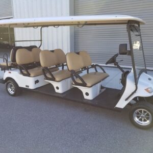 Street-legal Golf Cart Rentals LSV Rentals in Santa Rosa Beach, FL by South Walton Carts