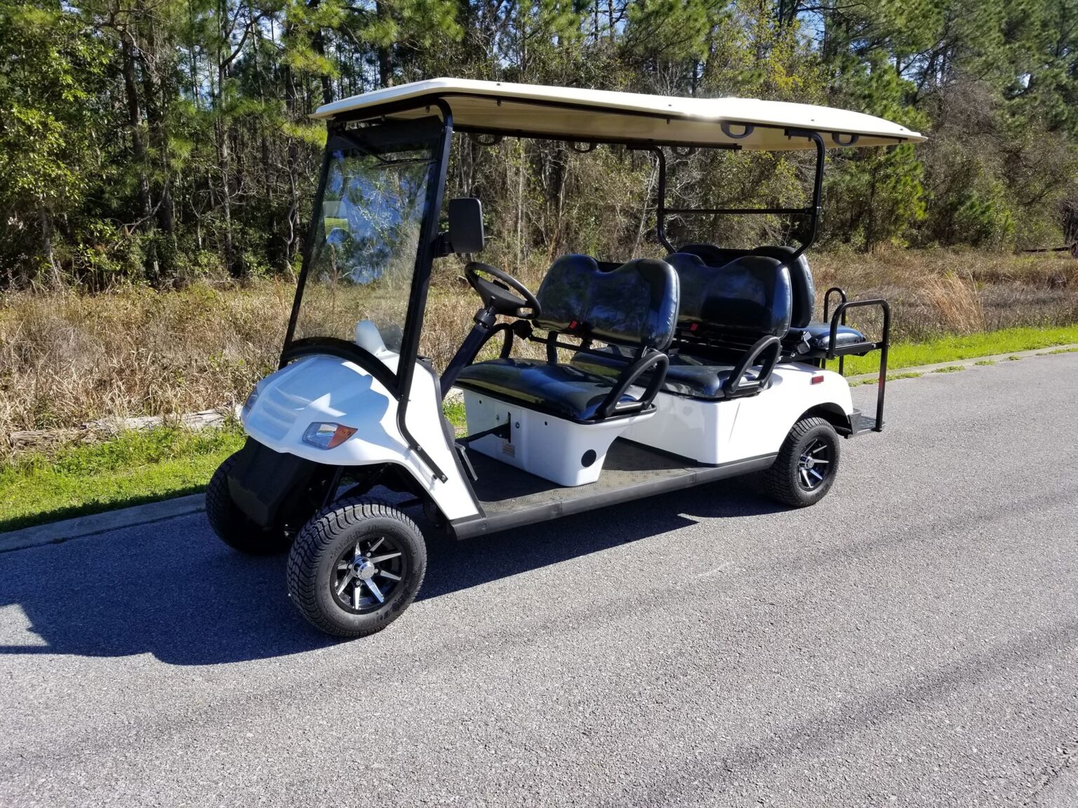 6 Passenger Electric Golf Cart - South Walton Golf Cart Rentals