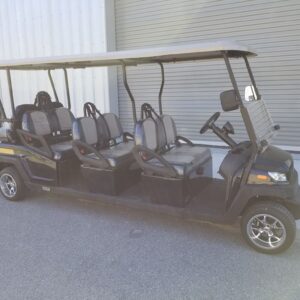 Street-legal Golf Cart Rentals LSV Rentals in Santa Rosa Beach, FL by South Walton Carts