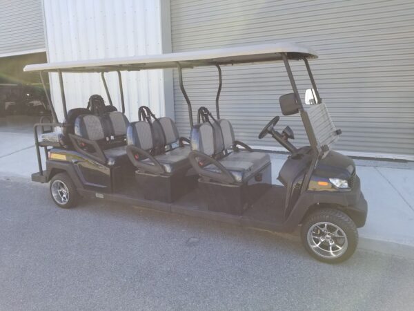 Street-legal Golf Cart Rentals LSV Rentals in Santa Rosa Beach, FL by South Walton Carts