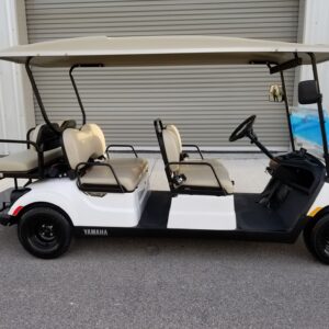 Street-legal Golf Cart Rentals LSV Rentals in Santa Rosa Beach, FL by South Walton Carts