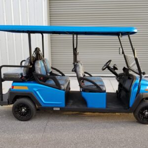 Street-legal Golf Cart Rentals LSV Rentals in Santa Rosa Beach, FL by South Walton Carts