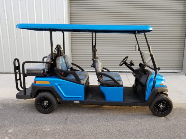 Street-legal Golf Cart Rentals LSV Rentals in Santa Rosa Beach, FL by South Walton Carts