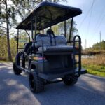 Street-legal Golf Cart Rentals LSV Rentals in Santa Rosa Beach, FL by South Walton Carts