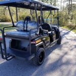 Street-legal Golf Cart Rentals LSV Rentals in Santa Rosa Beach, FL by South Walton Carts