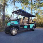 2026 TRONIC EV santa rosa beach, fl golf cart rental luxury cart best in town